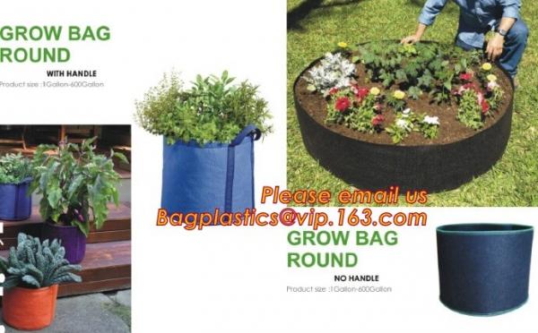 Fast Growth plastic nursery air pruning pot for plant tree and flower,indoor nursery mini plastic flower pot, gardening