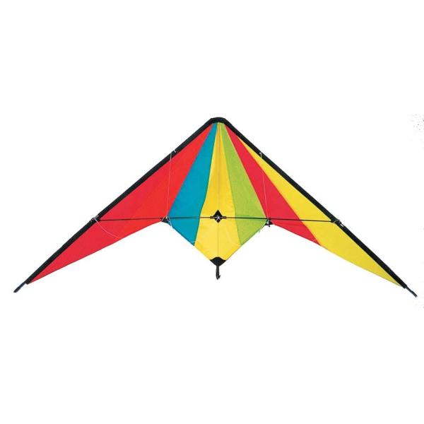 Classic style outdoor Delta sports kite colorfully with common size
