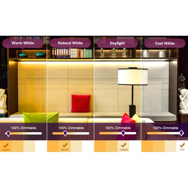 RGB COB DC24V 10W Full Color LED Strip Light 840 Leds 24V For Bar