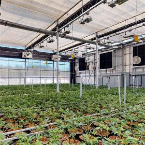 Quality Medicine Planting US Marketing Automatic Light Deprivation Greenhouse With Blackout System for sale