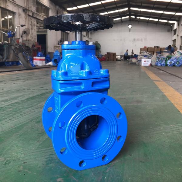 Double Flanged Resilient Seated Valves BS5163 PN16 DI Gate Valve