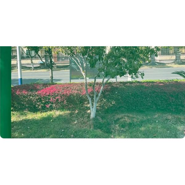 PP Screen Door Mesh Roll Corrosion Resistant Window Fly Screen Replacement Fireproof