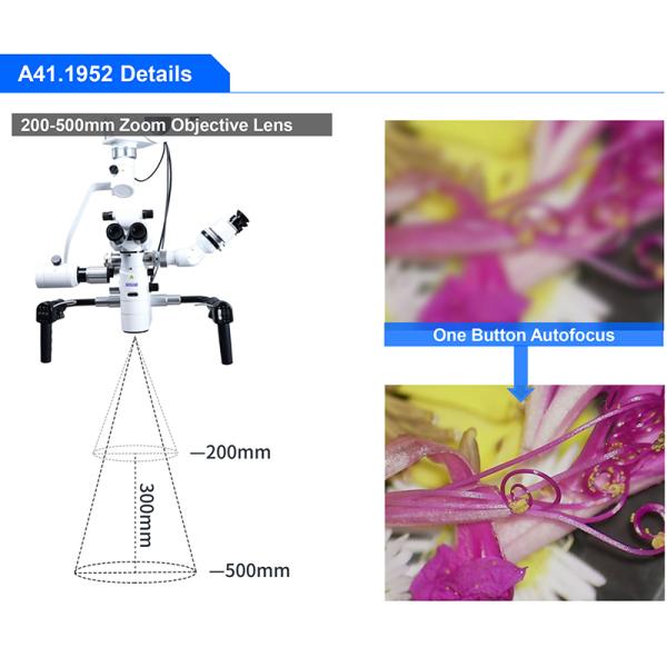 Opto Edu A41.1952 Operating Microscope Neurosurgery Brain Surgery Ent Dual Head