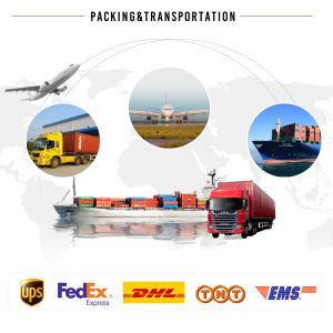 180 KG 24 Hours LZ-05 Large Ice Maker Machine for Supermarket 1980W Ice Flakes