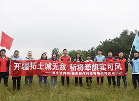 Manual Lithium Disilicate Glass Dental Material Cerec CAD CAM C14 Block For Cerec