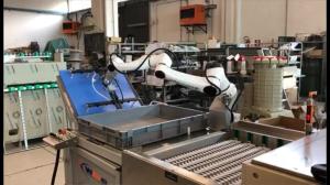 China Collaborative Robot Arm Hans E10 Used in Assembly Line with 10kg Payload Roboter Industrie on sale