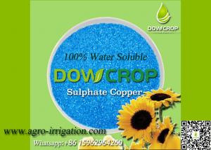 Quality 100% WATER SOLUBLE SULPHATE COPPER PENTAHYDATE 25% BLUE POWDER MICRO NUTRIENTS FERTILIZER for sale