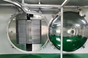 Quality Industrial Grade Food Vacuum Freeze Machine for sale