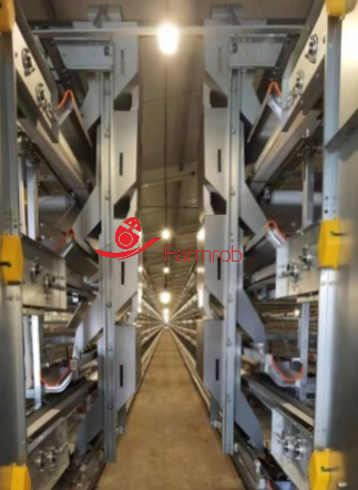 Reliable and Even Feeding 8 tiers Layer Chicken Cage System Fine Management