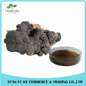 Quality Natural Treat Diabetes Innocuous Health Products Chaga Mushroom Extract Powder with Polysaccharides,Betulin for sale