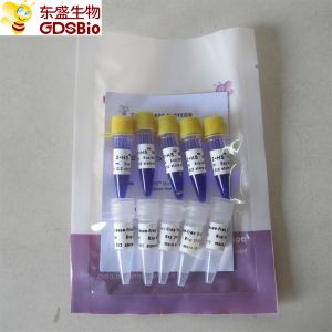 Buy cheap HS Mix PCR Master Mix #P2082 5ml from wholesalers