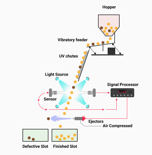 Barley Oat Drum Wheat Color Sorter With Ingas Technology