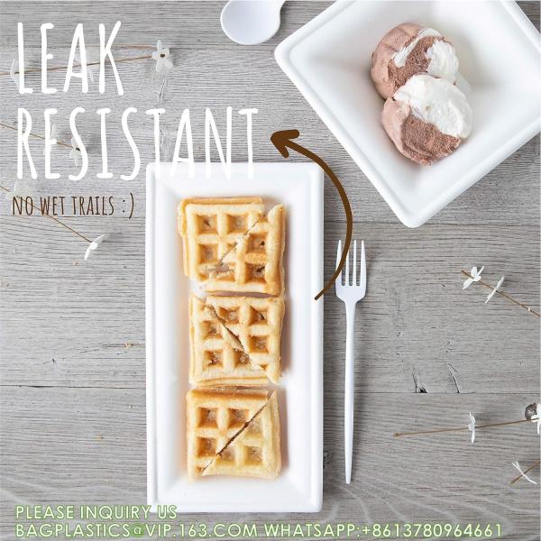 Rectangular Disposable Serving Plates 100% Natural Sugarcane Bagasse Fiber Platter Biodegradable & Compostable Party