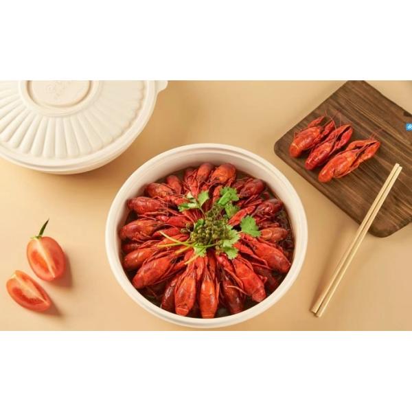 Plant Fibre Sugarcane Biodegradable Tableware Machine Manufacturers Making