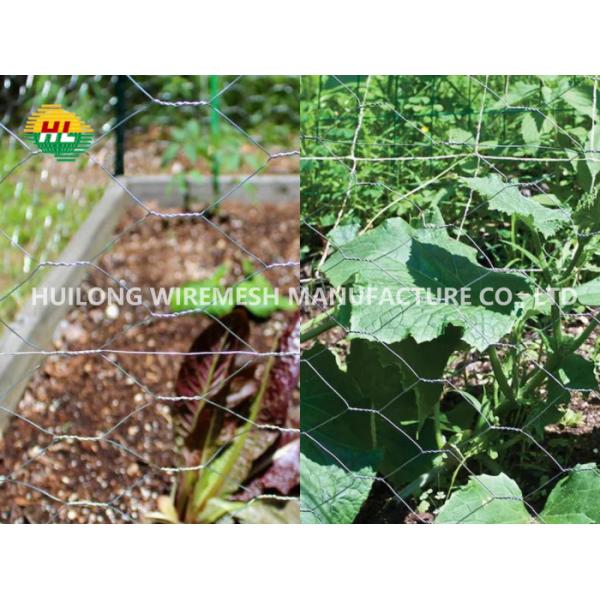 Galvanized 1.2x13x0.7mm Mesh Hexagonal Wire Netting For Pet Cages