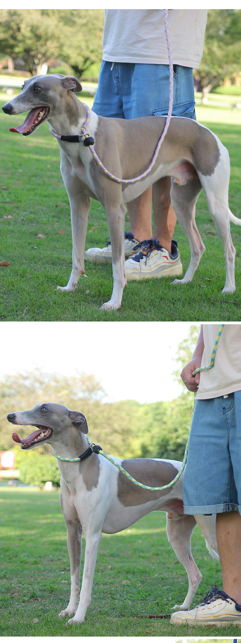 Pet Explosion-Proof P Chain Leash Dog Reflective Breathable Integrated Dog Leash