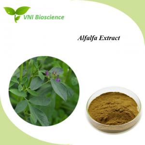 China Green Alfalfa Extract Antitumor Herb Extract Powder Halal Certified on sale