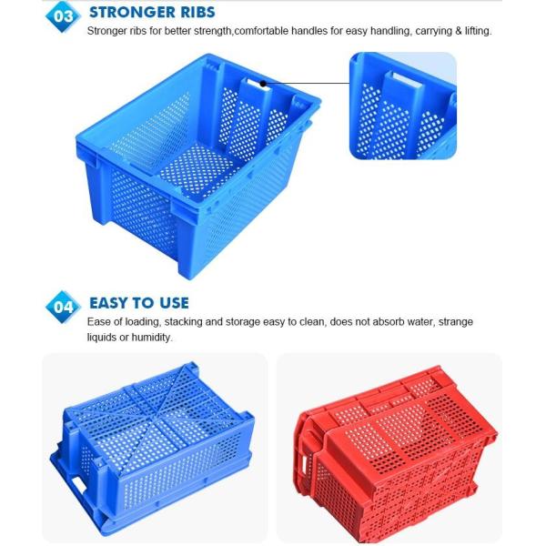 Cheap price 12 bottles plastic beer wine bottle crate, Vegetable and fruits plastic crate for store food, plastic crates