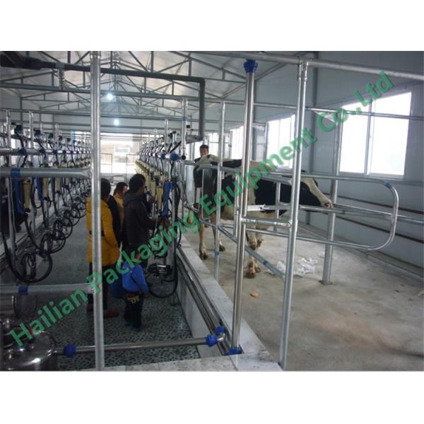 Milking Parlor System Automatic Cluster Removers for Milking Cup Group