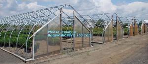 Quality high quality tunnel single span galvanized arch green houses,Plant Large Walk in Greenhouse with Clear Cover for garden for sale