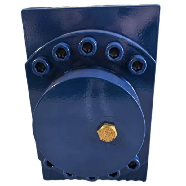 Customized Lock Hydraulic Cylinder for Engineering Machinery Industrial Equipment