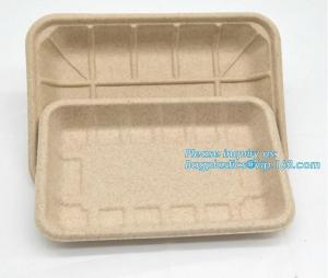 Biodegradable & Compostable 8 inchSquare sugarcane trays,sugarcane pulp compostable serving tray,lunch tray bagasse suga