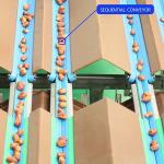 Precise Defect Detection 1.4 Tons Per Hour 6-Lane Palm Dates Sorting Machine