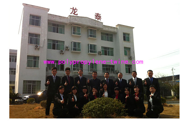 RW Normal PP Filler Yarn 22000D 2.44G/M Polypropylene Fibrillated Yarn