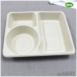 3-Compartments Unbleached Biodegradable Sugarcane Pulp Tray With Lid,Renewable
