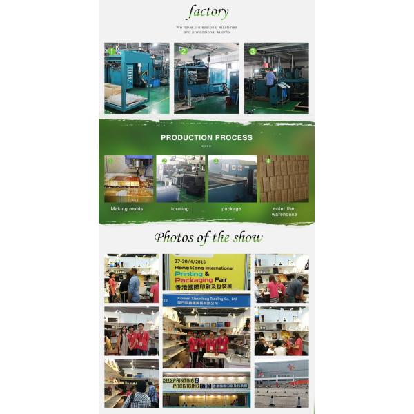 Fashion style Outdoor Hydroponic Air Root Pruning Container with low price