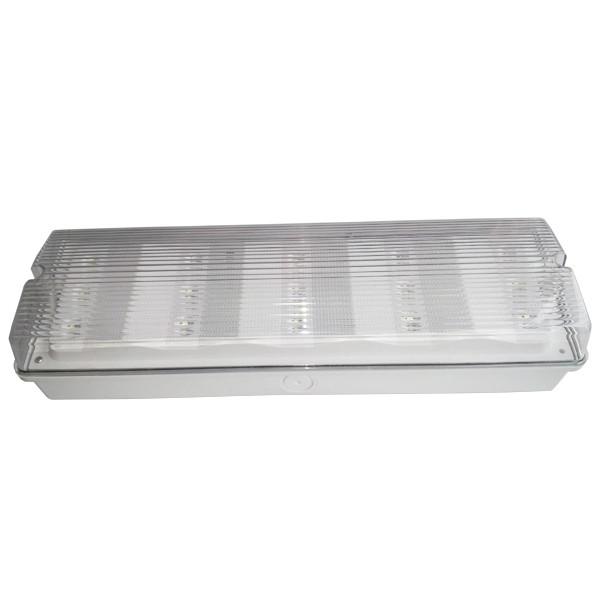Buy Maintained Ceiling Mounted 2835 SMD LED Emergency Lights For Buildings 50HZ / 60HZ at wholesale prices