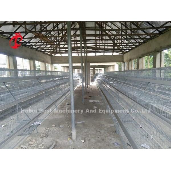 A Or H Type Automatic And Manual Poultry Farming Cage System Design For Chicken Poultry Farming Sandy