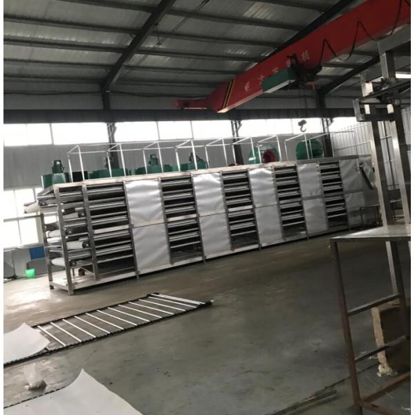 Vegetable Fruit Grape Fish Drying Machine Dehydrator