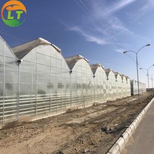 Quality Galvanized Skeleton Cover Film for Agricultural Product in Shouguang Easy to Install for sale