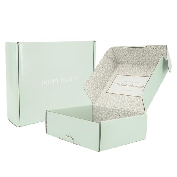 ISO Certified Disposable Picnic Box Corrugated Board Pizza Packing Paper Carton Box