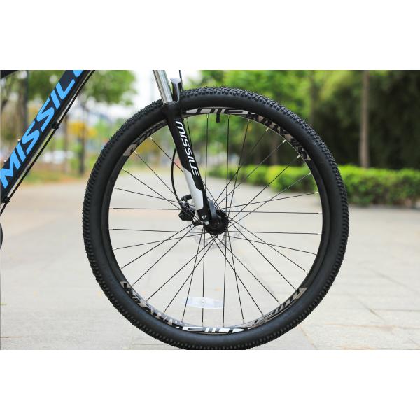 29'' Carbon Frame MTB Bike Bicycle with Ordinary Pedal and Customized OEM Customization