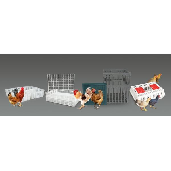 63pcs duck hatching tray incubator egg tray