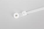 3*150mm Cheap price nylon 66 UL 94V-2 Mount Head Screw/Nail Mount Hole Cable Zip