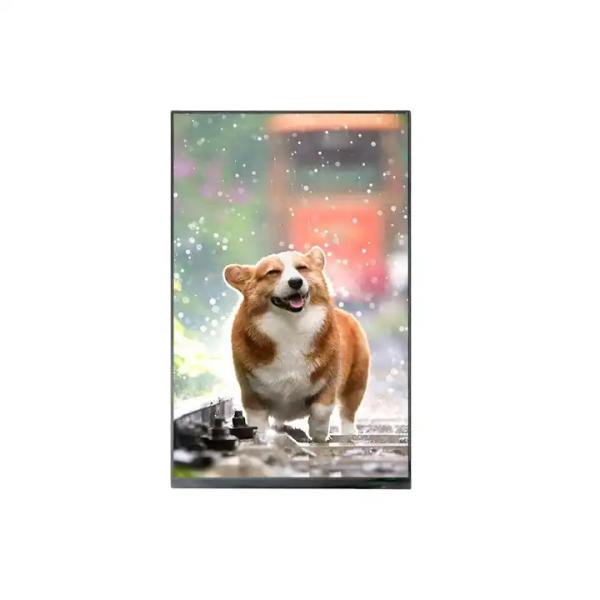 Buy 4 Lanes MIPI Interface 10.1 Inch LCD Display IPS RGB 800X1280 TFT LCD Modules at wholesale prices