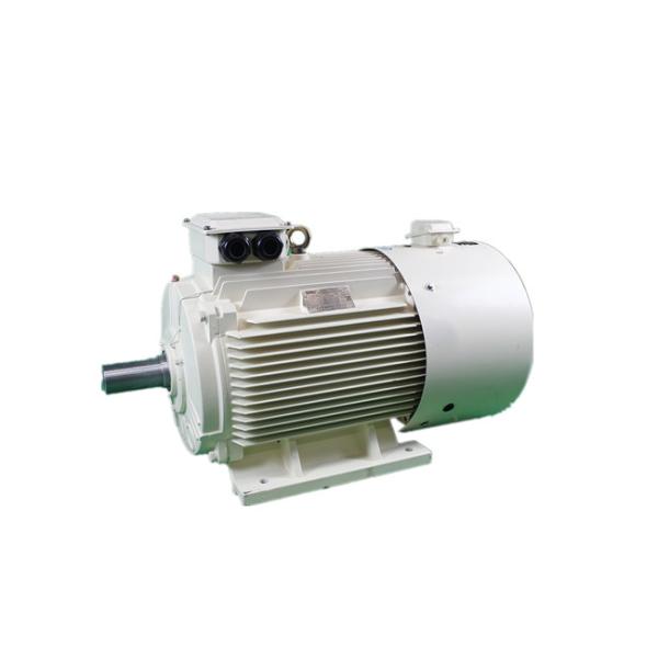 IP55 Industrial 3 Phase Variable Frequency Motor YVFE3 100L-2 3kW