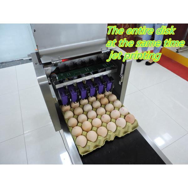 High Efficiency Egg Stamping Machine , Expiry Date Printing Machine For Eggs