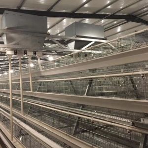 layer poultry farming cages system automatic A type layer chicken cage