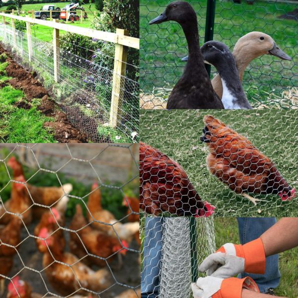 Rust Resistant Zinc Coated Hexagonal Wire Mesh Easy Install Hex Wire Netting Shrink Film Pack