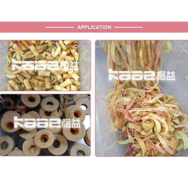 Fruit Vegetable Processing Making Machine Fruit Vegetable Peeling Machine