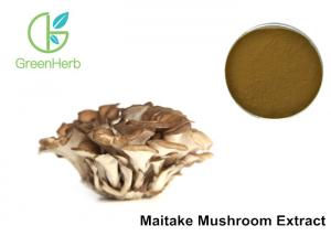 Quality 30% Polysaccharides Maitake Mushroom Extract Powder Grifola Frondosa for sale