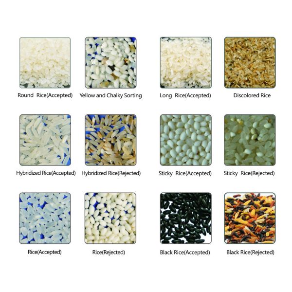 5-28t/H Intelligent Hybridized Rice Sorting Machine CE Approved