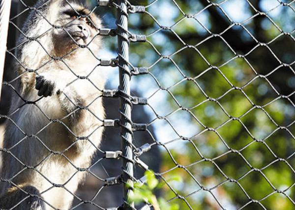 Buy 316 Stainless Steel animal enclosure mesh For Monkey at wholesale prices