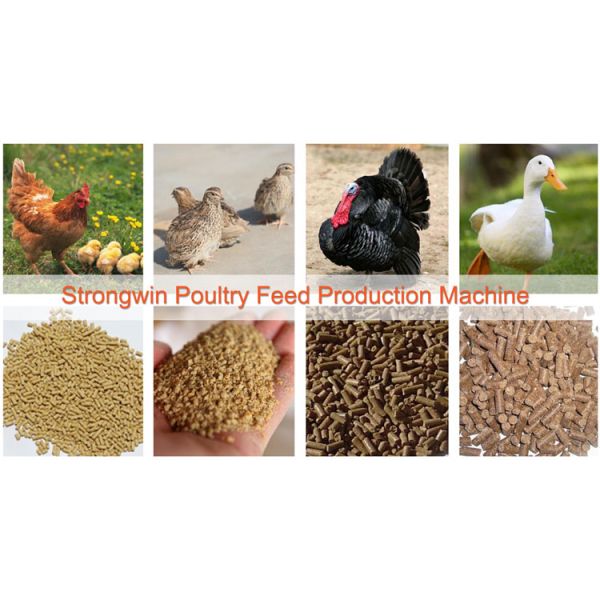 Turkey Broiler Poultry Feed Production Line With Siemens Motor Capacity 10T/H