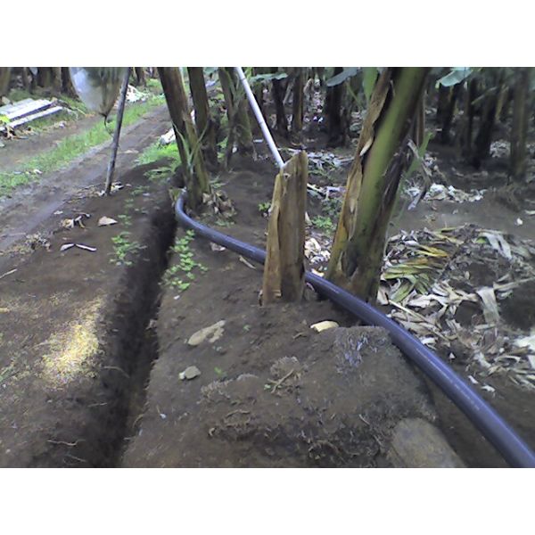 DN63mm Hdpe Irrigation Pipe