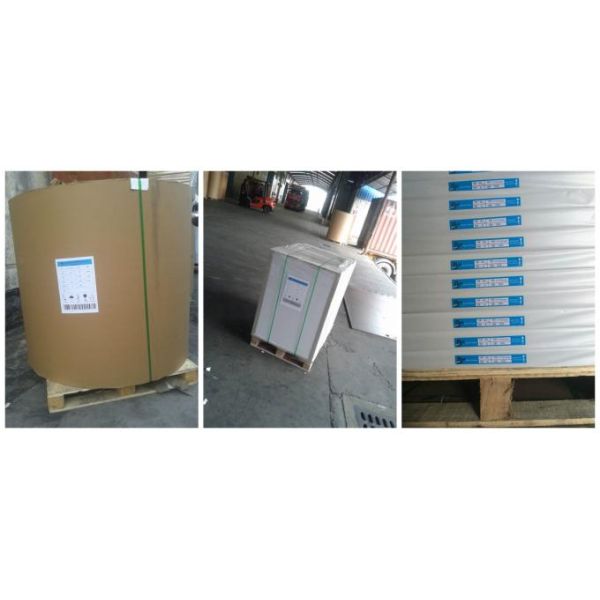 50gsm 60gsm 70gsm 80gsm White Wrapping Kraft Liner Paper For Paper Bags